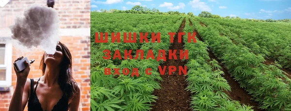 прущие крисы Вяземский